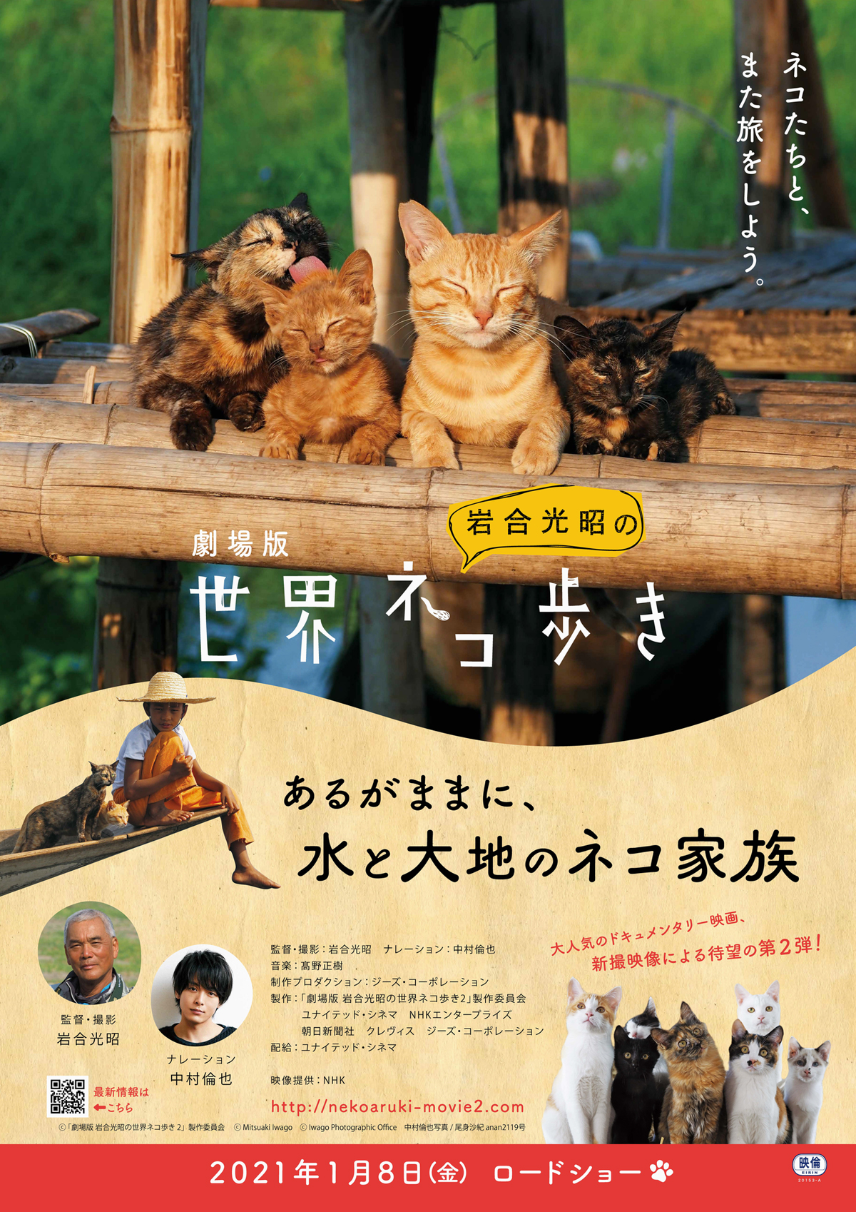 劇場版 岩合光昭の世界ネコ歩き あるがままに、水と大地のネコ家族の画像