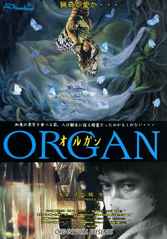 ORGAN／オルガンの画像