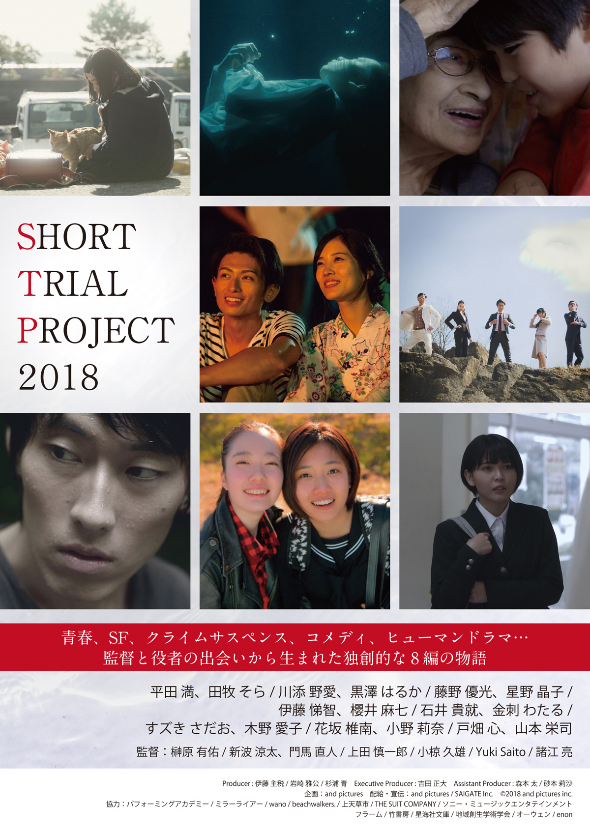 Short Trial Project 2018の画像