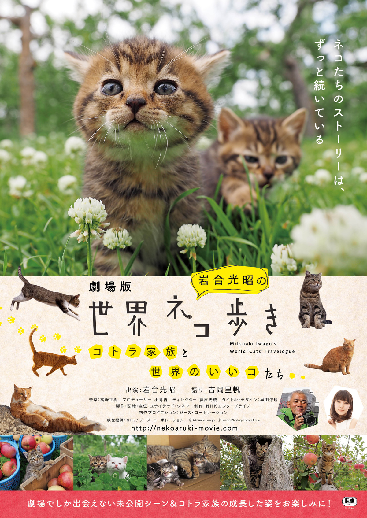 劇場版 岩合光昭の世界ネコ歩き コトラ家族と世界のいいコたちの画像