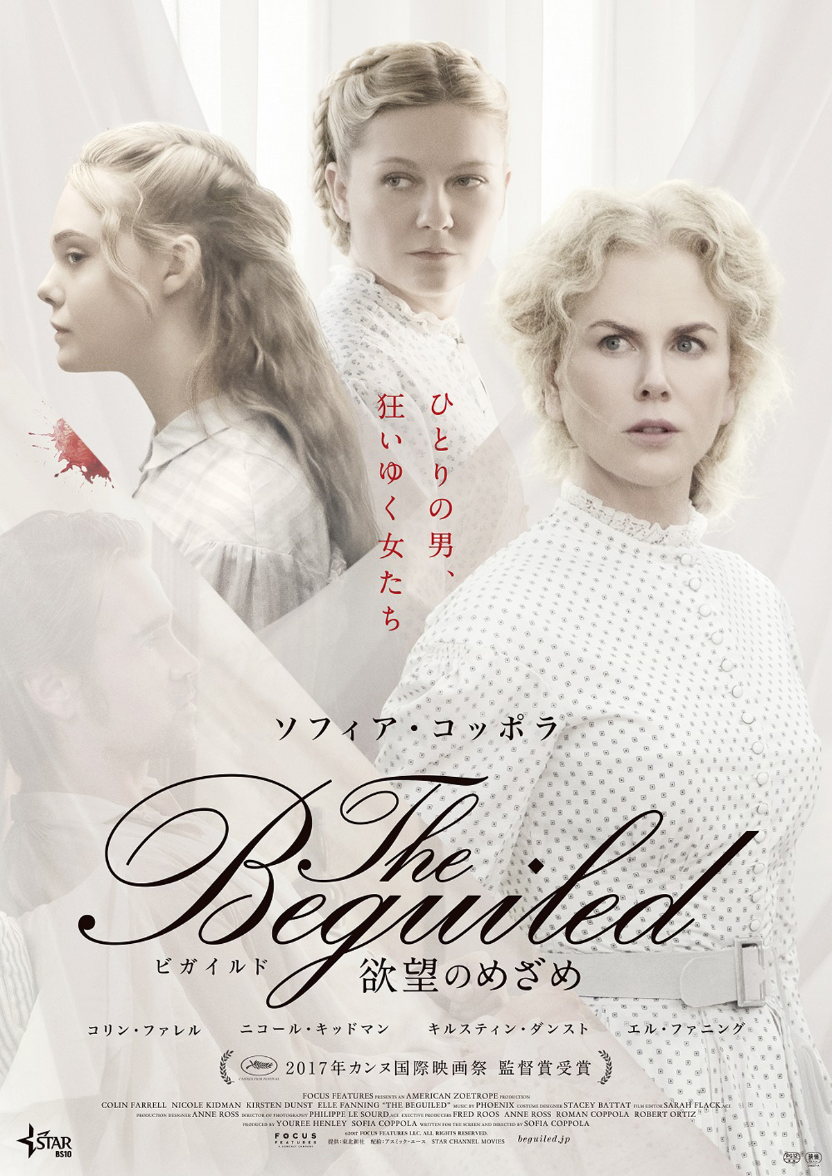 The Beguiled/ビガイルド 欲望のめざめの画像