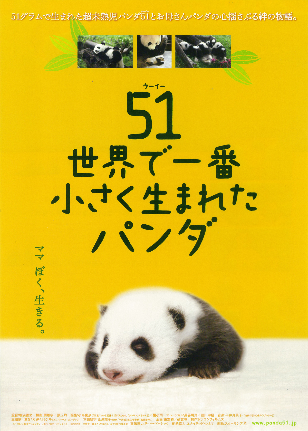 51（ウーイー）　世界で一番小さく生まれたパンダの画像