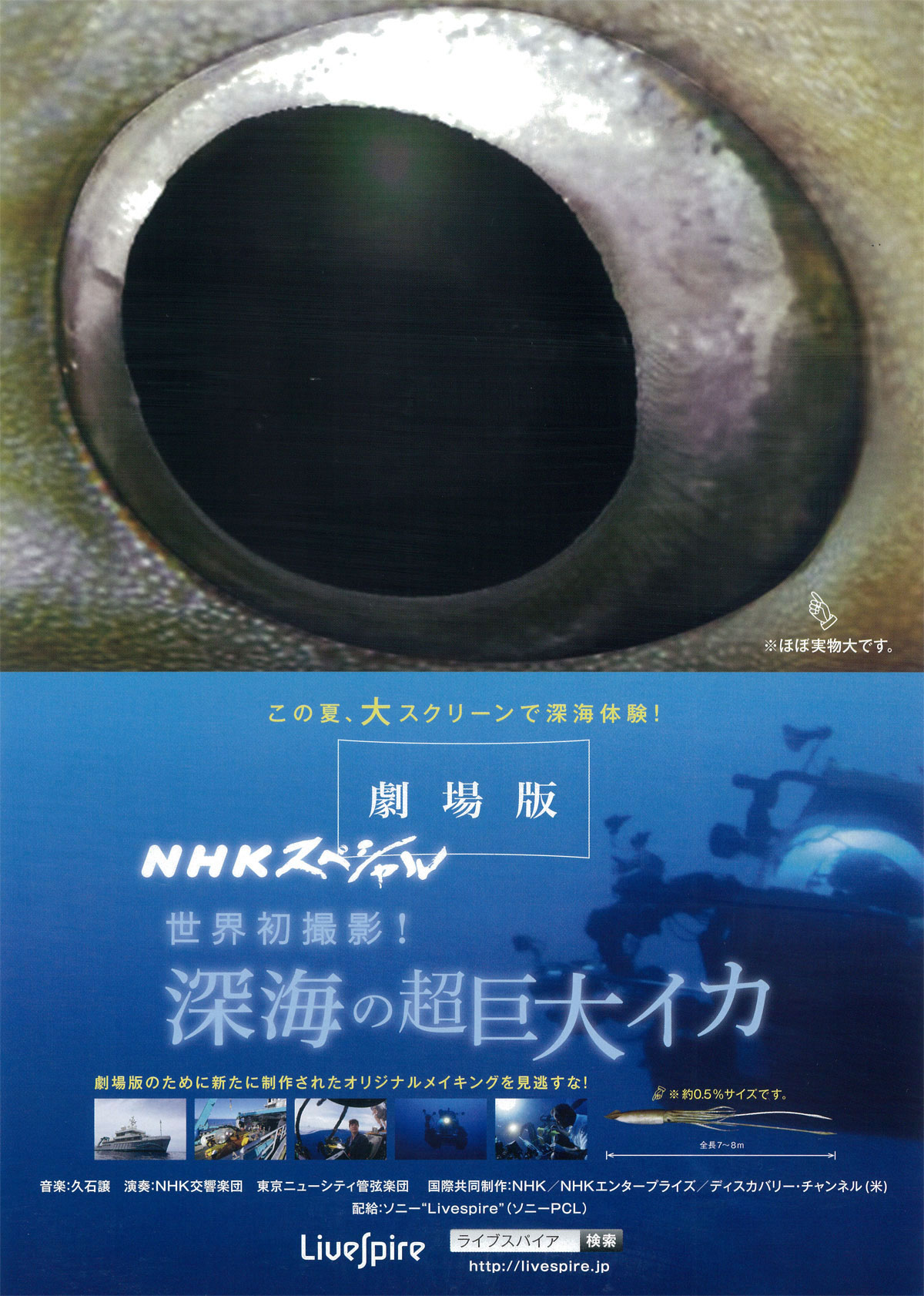 Livespire　「劇場版 NHKスペシャル　世界初撮影！深海の超巨大イカ」の画像