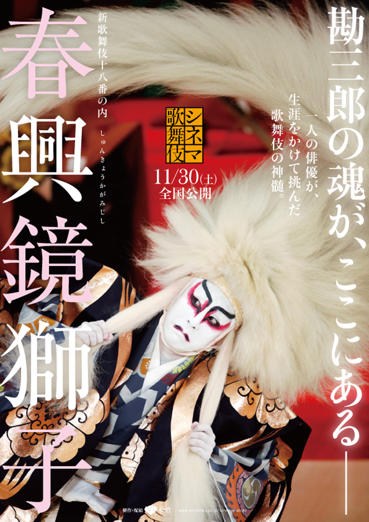 シネマ歌舞伎　新歌舞伎十八番の内　春興鏡獅子の画像