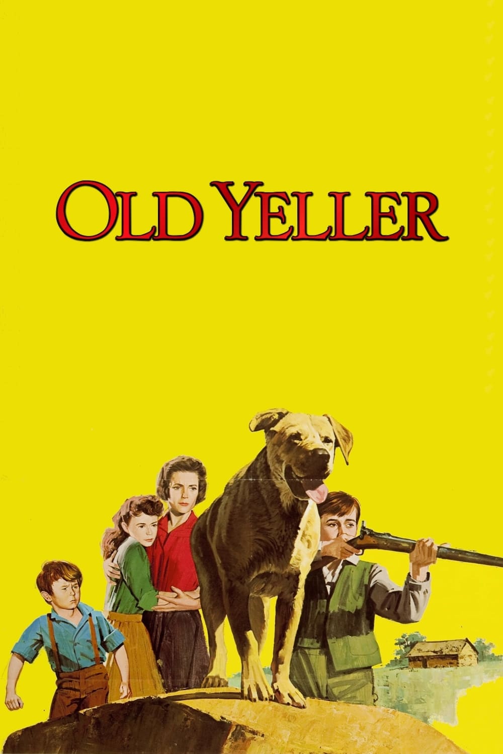 黄色い老犬の画像