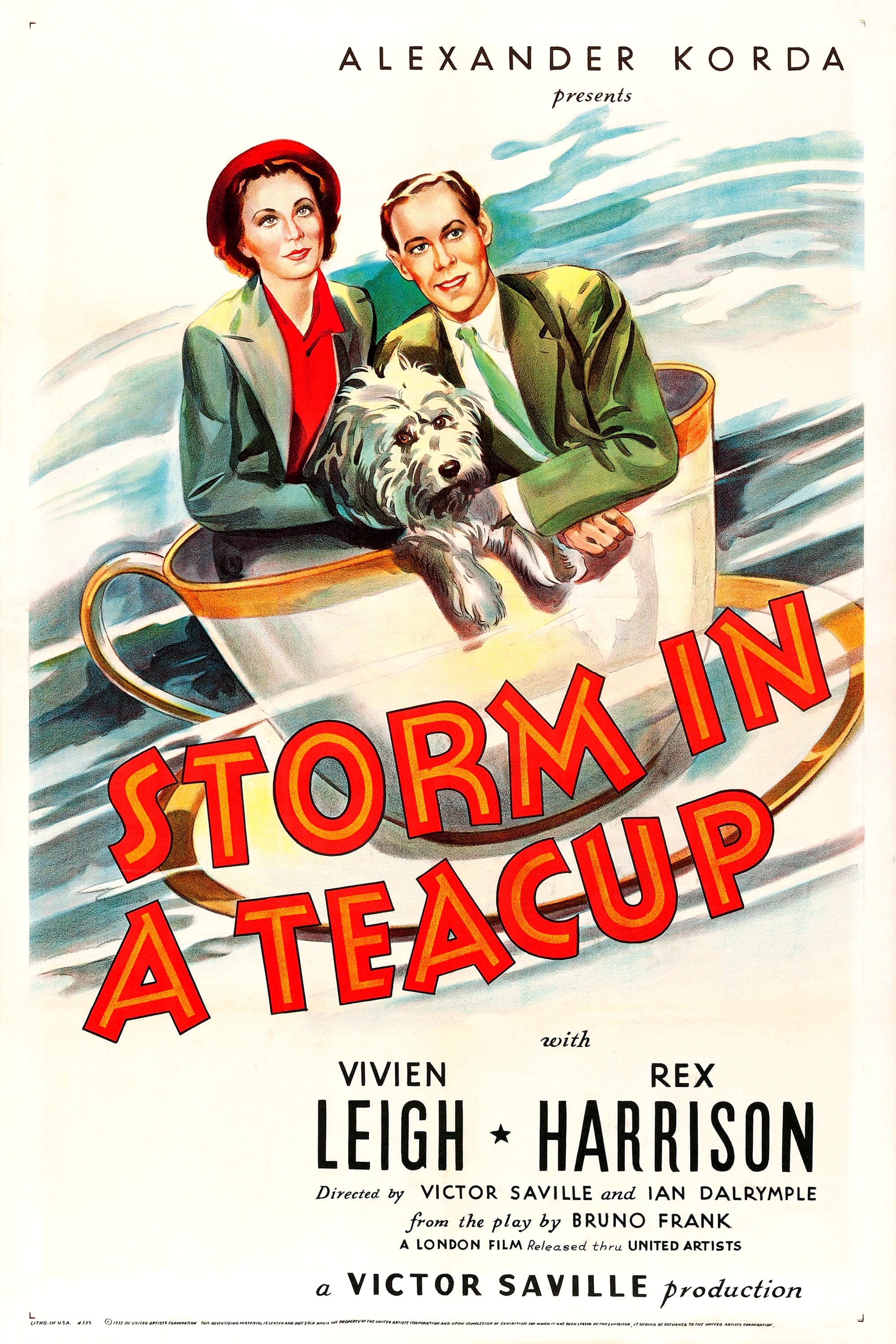 茶碗の中の嵐の画像