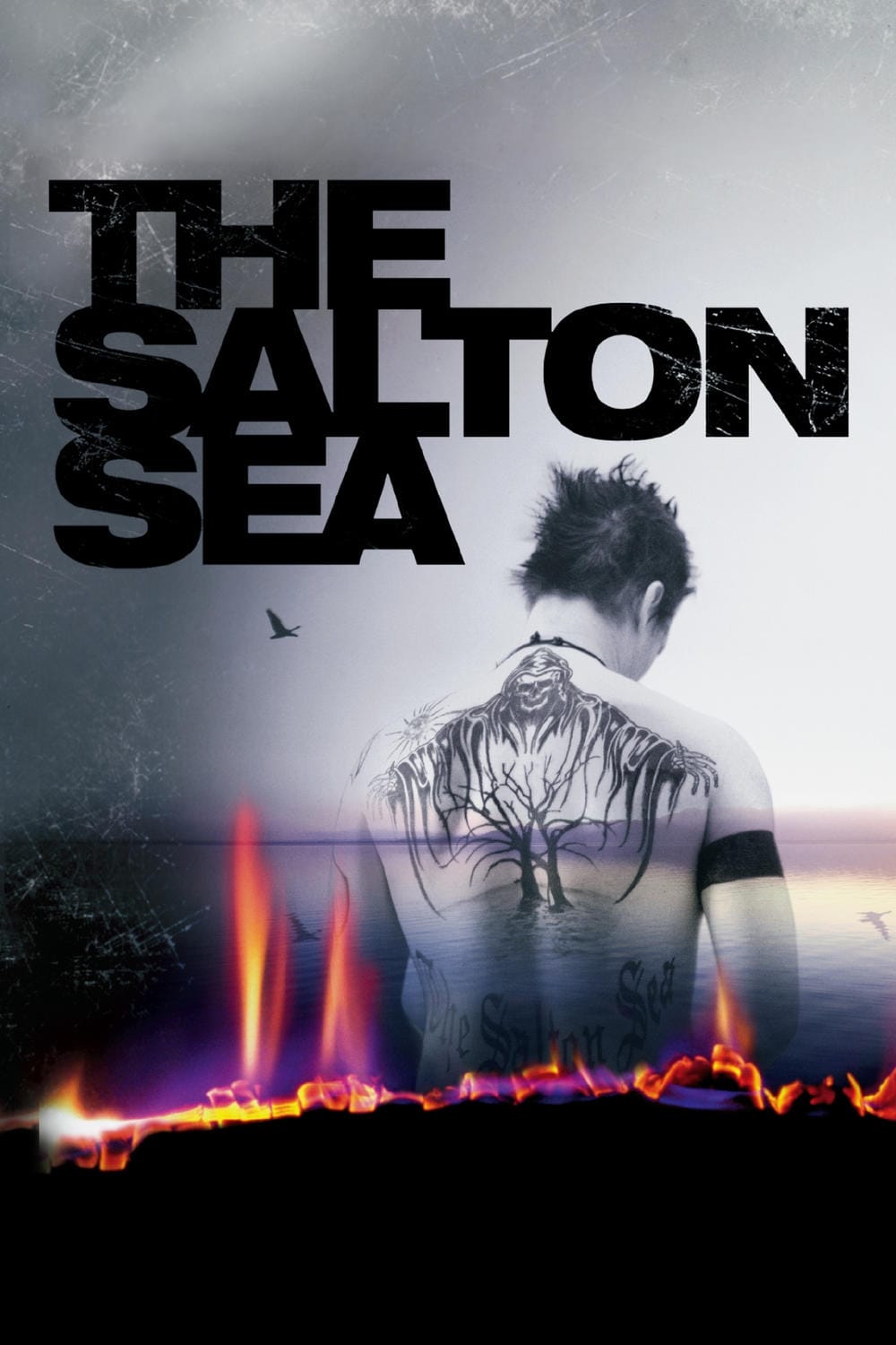 THE SALTON SEA　ソルトン・シーの画像