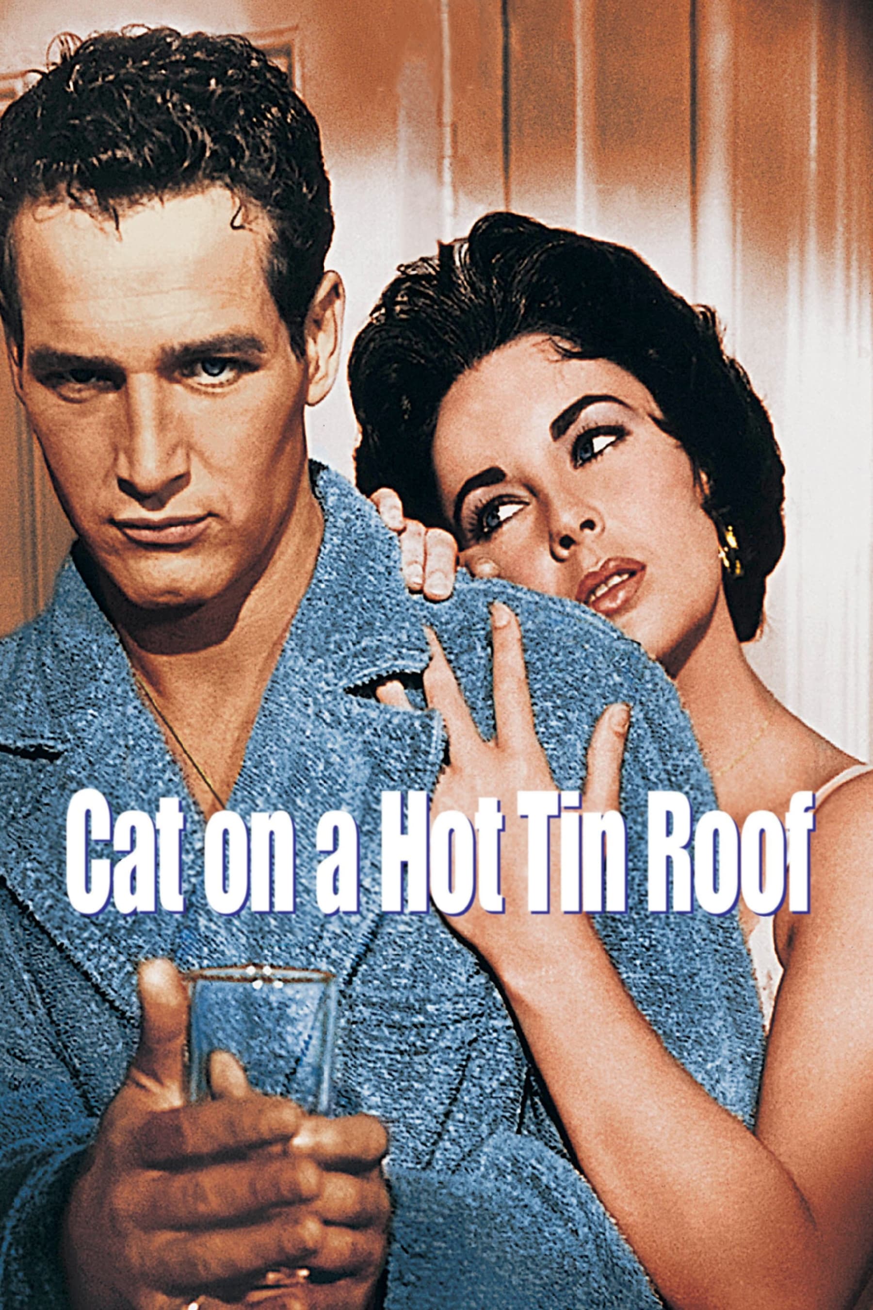 熱いトタン屋根の猫の画像