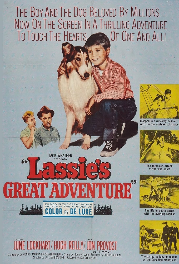名犬ラッシーの大冒険の画像